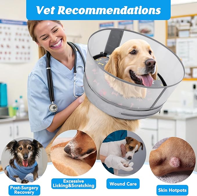 Inflatable Dog Cone with Anti-Licking Clear Shield, Protective Dog Donut Collar After Surgery, Adjustable Soft Recovery Cone for Pets, Alternative Collar with Buckle Strap (Grey, M+)
