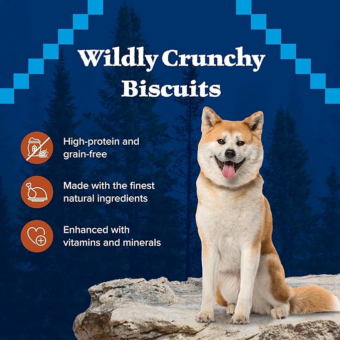 Blue Buffalo Wilderness Trail Treats High Protein Grain Free Dog Biscuits Crunchy Dog Treats, Turkey Recipe, 10-oz Bag