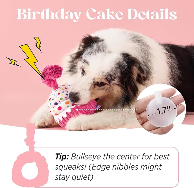 LE SURE Dog Birthday Cake Toy - Cute Dog Birthday Cake Squeaky Toy with Interactive Tug Rope, Interactive Chew Toy for Puppy Birthday Party & Daily Play, XSmall, Milk Chocolate