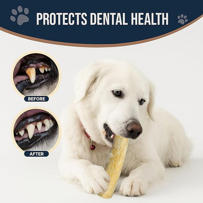 Set of 1 Coffee Wood Dog Chew Stick Toy for Dog, Natural and Real Wooden Bone Sticks for Pets, Safe Dental Cleaning Chews, Pets Health, Teeth Cleaning and Relieve Stress (Medium)