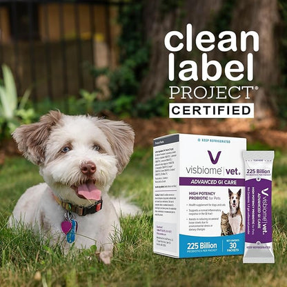 Visbiome® Vet Advanced GI Care High Potency Probiotic for Dogs & Cats – 225B CFU, 8-Strain Formula – Refrigerated, Veterinarian Recommended, Clean Label Certified – 30 Packets
