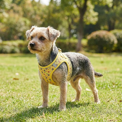 Mihqy Step in Dog Harness and Leash Set, Reflective Adjustable No Pull Dog Harness for Small Medium Dogs Puppy and Cats, Soft Padded Mesh Vest Harnesses for Girl and Boy Pets(Bee,M)