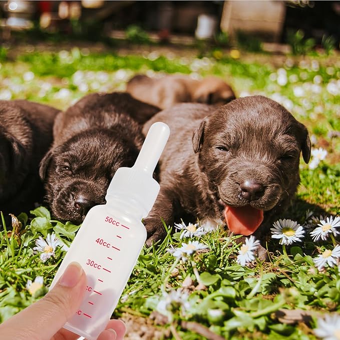 COHEALI 3Pcs Small Plastic Pet Nursing Bottles with Supple Pointed Nipples Portable Milk Feeders for Newborn Puppies and Kittens Reusable Clean Feeding Bottles with Clear Scale Lines