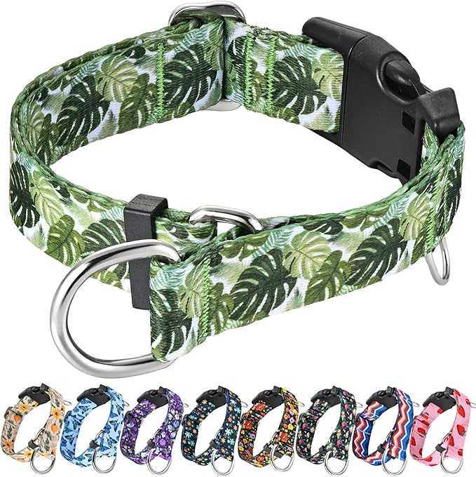 Martingale Collar for Dogs with Buckle Adjustable Nylon Tropical Slip No Pull Training Dog Collars (Palm Leaf, XLarge)