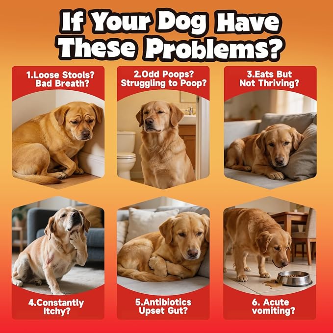 Probiotics for Dogs - Improve Gut Health, Digestive, Immunity, Yeast Balance, Solid Stool - with Prebiotics - Reduce Diarrhea, Gas, Bad Breath, Constipation, Allergy - Ideal for Senior Dogs (5+ Years)