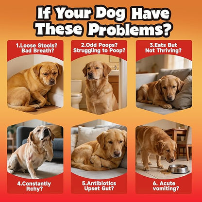 Probiotics for Dogs - Improve Gut Health, Digestive, Immunity, Yeast Balance, Solid Stool - with Prebiotics - Reduce Diarrhea, Gas, Bad Breath, Constipation, Allergy - Ideal for Senior Dogs (5+ Years)