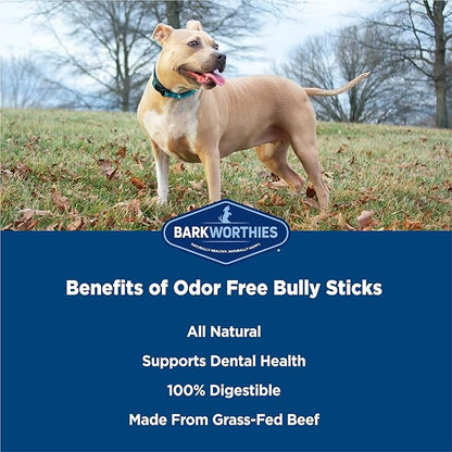 Barkworthies Odor-Free Bully Stick Treat, 6", (Pack Of 5)