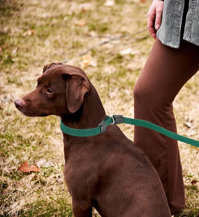 Slip Lead Dog Leash,Soft Corduroy 6 FT Dog Training Leash for Medium Large Dogs,No Pull Slip Leash and Collar with Padded Handle,Dark Green