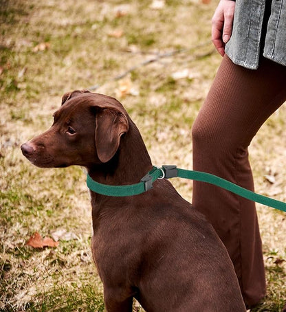 Slip Lead Dog Leash,Soft Corduroy 6 FT Dog Training Leash for Medium Large Dogs,No Pull Slip Leash and Collar with Padded Handle,Dark Green