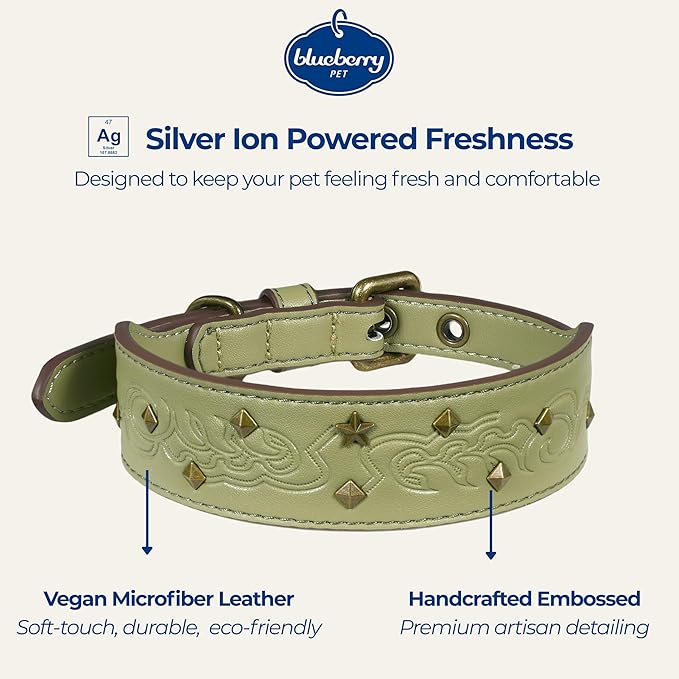 Blueberry Pet Premium Embossed Sage Green Glam Silver-Powered Freshness Microfiber Leather Dog Collar with Antique Brass Studs