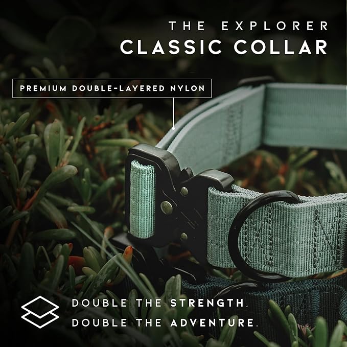 Made to ROAM Premium Dog Collar - Adjustable Heavy Duty Nylon Collar with Quick-Release Metal Buckle (Eucalyptic Glow, Classic Size 5)