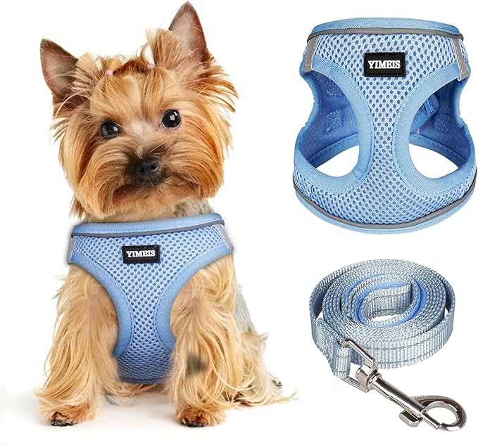 Dog Harness for Small Dogs and Leash Set, Honeycomb Grid, Reflective Lightweight Harness & Anti-Twist Pet Lead Multi Color, Size: XS-S-M. (S, Aqua Blue)