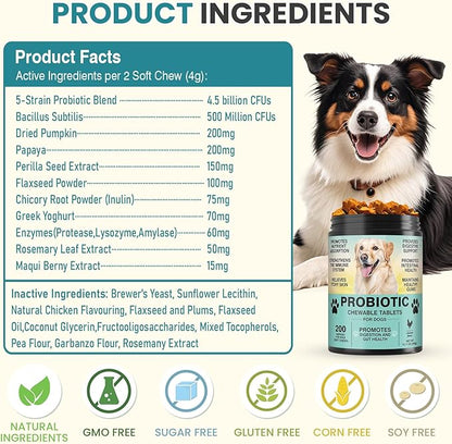 Probiotics for Dogs Gut Digestive Health Probiotic Chews for Dogs Digestive Enzymes Relieve Diarrhea Immunity Oral Problems Itching Constipation Prebiotics Dog Probiotics 200 Ct Chicken
