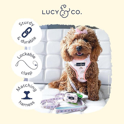 Lucy & Co. 5 Foot Designer Dog Leash - Best for Big, Small, or Medium Dogs - Puppy Leash - Cloud, Large
