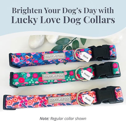 Lucky Love Dog Martingale Dog Collar & Leash - Adjustable, No-Slip, Durable, Comfortable, Soft Webbing, & Stylish Patterned Collar & Leash Set for Male and Female Dogs - Rosie Combo, Large