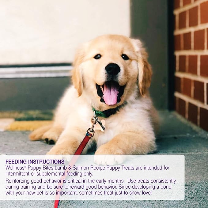 Wellness Soft Puppy Bites Healthy Grain-Free Treats for Training, Dog Treats with Real Meat and DHA, No Artificial Flavors (Lamb & Salmon, 8-Ounce Bag) (Pack of 2)