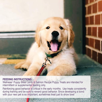 Wellness Soft Puppy Bites Healthy Grain-Free Treats for Training, Dog Treats with Real Meat and DHA, No Artificial Flavors (Lamb & Salmon, 8-Ounce Bag) (Pack of 2)