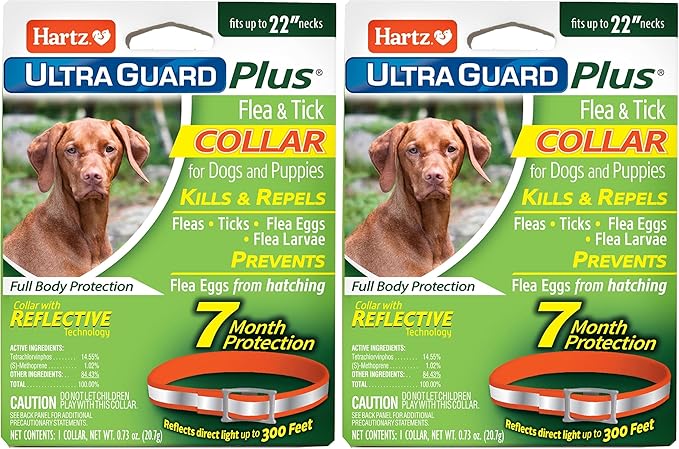 Hartz UltraGuard Plus Flea & Tick Collar for Dogs and Puppies, 7 Month Flea and Tick Prevention and Protection Per Collar, Reflective Orange, up to 22 Inch Neck (Pack of 2)
