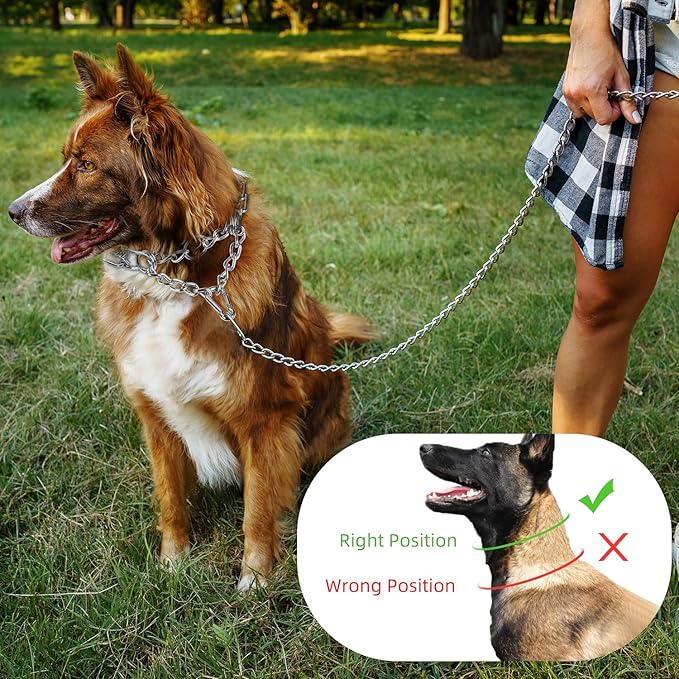 Prong Collar for Dog Large, Pinch Collar for Dogs,Choke Collar for Dogs, Quick Release Buckle and Carabier Lock, Comfort Rubber Tips, for Large Dogs (Large, 4.0mm,23.6-Inch, with Buckle)