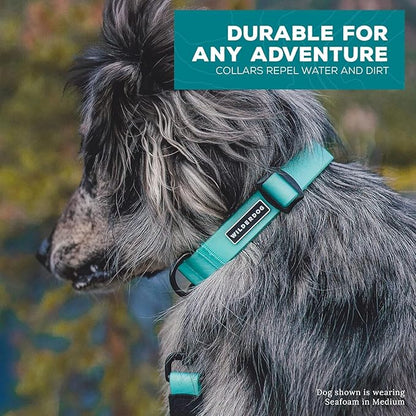 Wilderdog Waterproof Dog Collar - Repels Water & Dirt - Small 11"-15" - Tie Dye