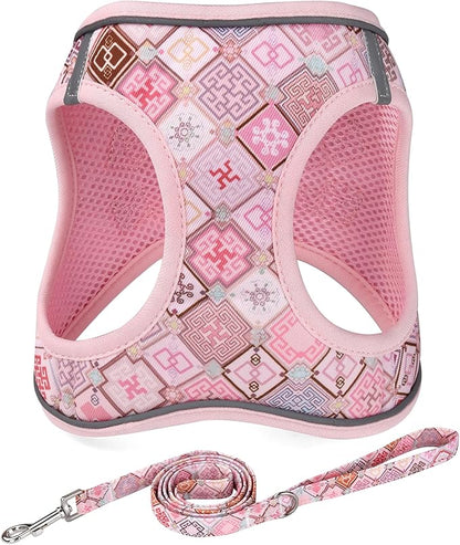 Mihqy Step in Dog Harness and Leash Set, Reflective Adjustable No Pull Dog Harness for Extra-Small/Small Dogs Puppy and Cats, Soft Padded Mesh Vest Harnesses for Girl and Boy Pets(Pink Grid,XS)
