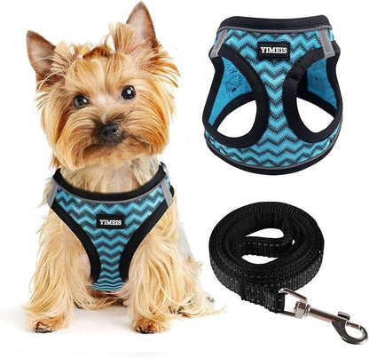 YIMEIS Dog Harness (XS, Blue) for Small Dogs, Lightweight Harness & Leash Set, Adjustable, Reflective, Breathable, 360°Visibility, Playful Style
