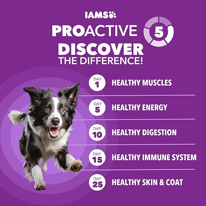 IAMS Advanced Health Dry Dog Food Healthy Digestion, Adult Dog Food with Real Chicken Recipe, 36 lb. Bag