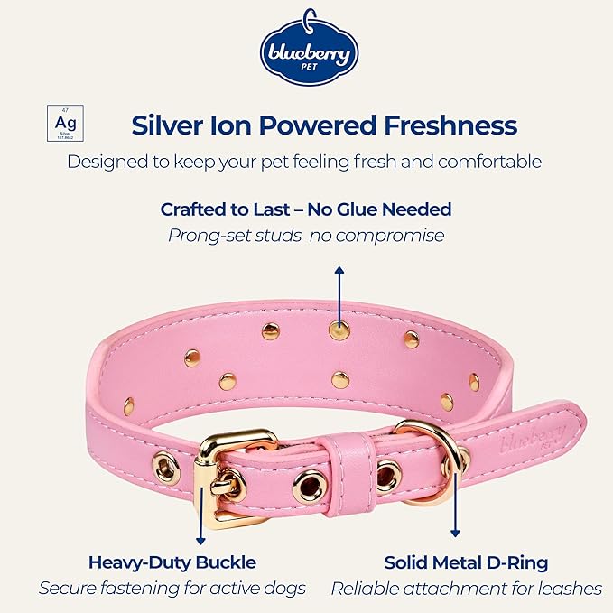 Blueberry Pet Premium Embossed Pink Glam Silver-Powered Freshness Microfiber Leather Dog Collar with Gold Studs