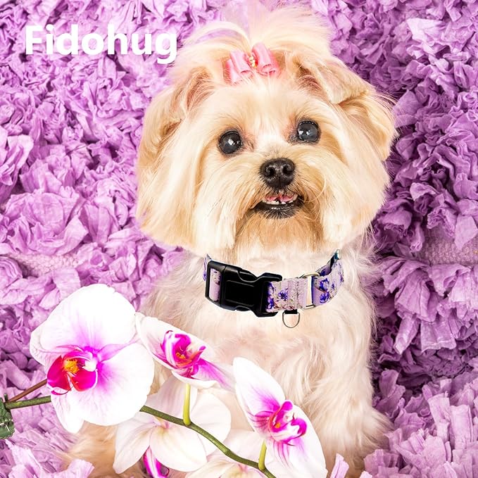 Martingale Collar for Dogs Floral Dog Collars for Small Medium Large Dogs with Buckle Adjustable Soft Nylon Dog Collar (Purple Lily, Small)