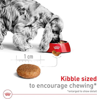 Royal Canin Size Health Nutrition Medium Adult Dry Dog Food, 30 lb Bag