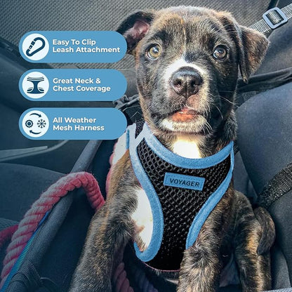 Best Pet Supplies - All Weather Mesh/Plush, Reflective, No Pull Harness for Small, Medium Dogs, Cats - Secure with Hook & Loop Fastener, Buckle, Double D-Rings - Black/Blue Trim, XS