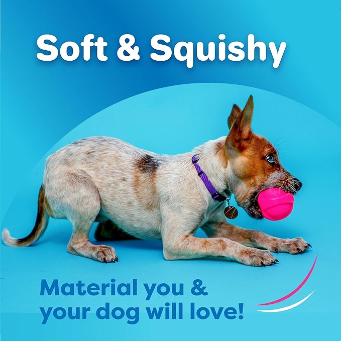 Hartz DuraPlay Bacon Scented Dog Toys, Large 1 Count, Colors may vary