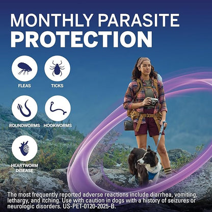 NexGard Plus (afoxolaner, moxidectin, and pyrantel) Flea and Tick Protection & Heartworm Preventive for Dogs Soft Beef Flavored Chewables, 17.1-33 lbs. (Gold) 6 Chews (6 Month Supply)