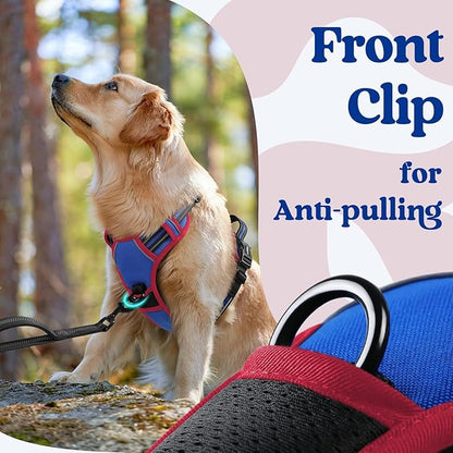 rabbitgoo Dog Harness Medium Sized, No Pull Pet Harness with 3 Buckles, Adjustable Soft Padded Vest with Control Handle, Walking Reflective Pet Vest for Medium Dogs, Royal Blue & Red, M