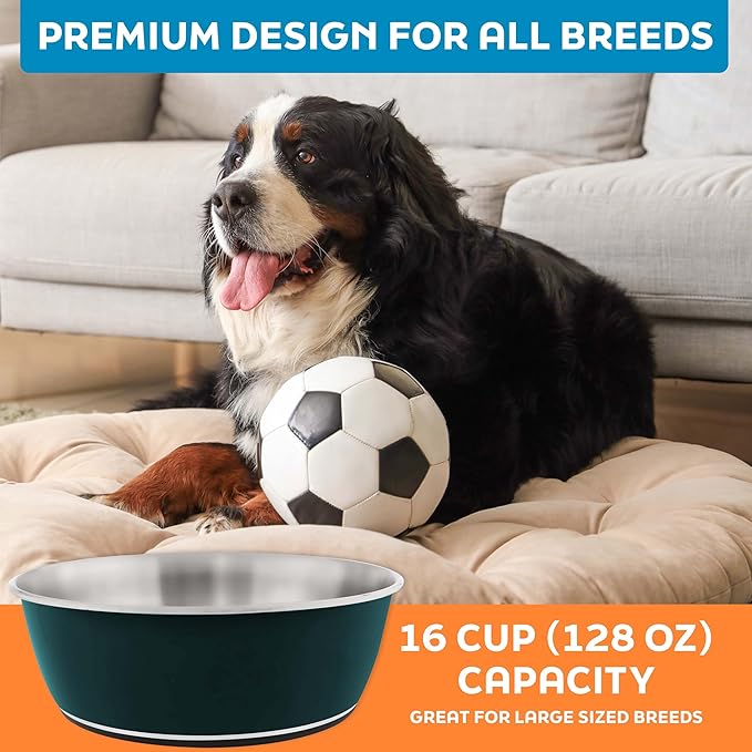 Master Pet Supply Stainless Steel Dog Bowls Set of 2 (128 Oz Each) with Non-Slip Rubber Base - Emerald Sea - Basic Dog Food Bowl Water & Food Bowls for Small Medium Large Dogs & Cats, Metal Dish