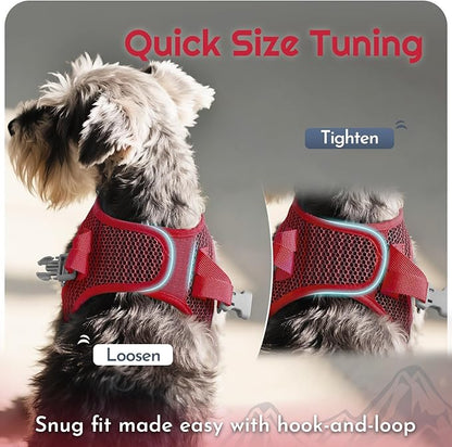 Eagloo Small Dog Harness and Leash Set, Step in Puppy Vest with Breathable Soft Mesh, Walking Reflective Pet Harness for Small Dogs, Red, XS