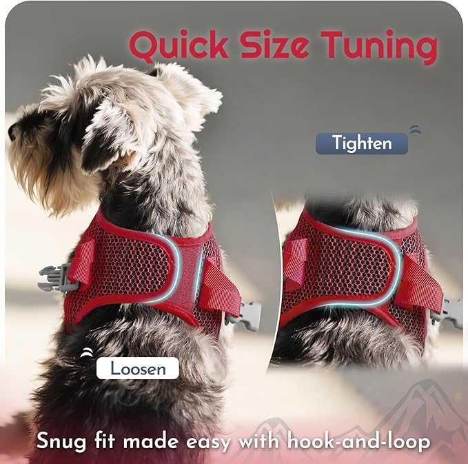 Eagloo Small Dog Harness and Leash Set, Step in Puppy Vest with Breathable Soft Mesh, Walking Reflective Pet Harness for Small Dogs, Red, S