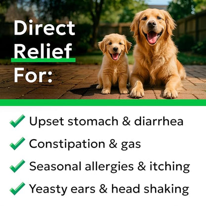 BARK&SPARK Dog Probiotics & Digestive Enzymes (Gut Health) Allergy & Itchy Skin - Pet Diarrhea Gas Treatment Upset Stomach Relief, Digestion Health Prebiotic Supplement Dog Treats (240Ct Chicken)