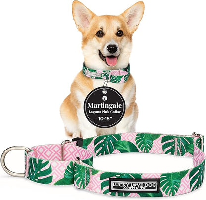 Lucky Love Dog Martingale Dog Collar - Adjustable, No-Slip, Comfortable, Durable, Soft Webbing & Stylish Patterned Collar for Male and Female Dogs Ideal for Training & Walking - Laguna, Small