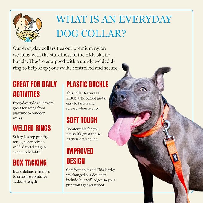 Country Brook Petz - Everyday Nylon Dog Collar for Large, Medium, and Small Dogs and Puppies - for Everyday Use in 10+ Warm Colors (3XS, 3/8 Inch Wide, Copper Gold)