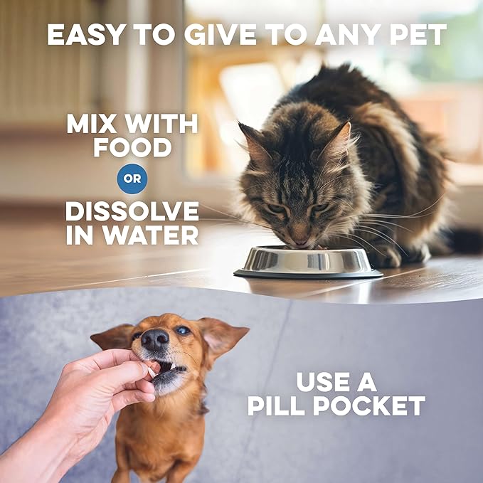Hepatic Liver Support for Cats Dissolvable,Homeopathic, Digestive Feline Supplement for Liver Detox and Nutrient Absorption 100% All Natural, Easy to Give, Free of Chemicals or Additives, 400 Pills