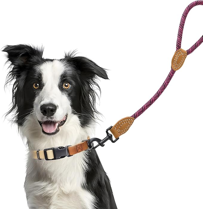 Mile High Life Short Leash for Large Dogs, Short Dog Rope Leash with Heavy Duty Metal Sturdy Clasp, Genuine Leather Tailored Connection(Hot Pink, 18 Inch)