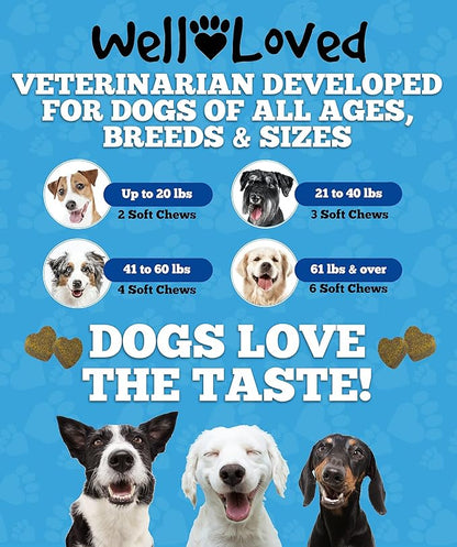 Well Loved Dog Allergy Chews - Dog Allergy Relief, Itching Skin Relief, Hot Spot Treatment & Seasonal Allergies, Vet Developed, Anti Itch Skin Irritation Treatment, Made in USA, 120 Chews
