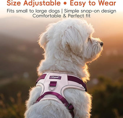 3 in 1 No Pull Dog Harness Leash and Collar Set, Soft Adjustable Dogs Vest Reflective and Comfortable Handle Pink Medium