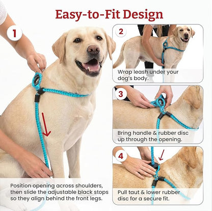 Harness Lead No Pull Dog Harness and Leash Set, Anti Pull Dog Harness, One-Piece Cushioned Rope Safely Prevents Escaping and Pulling (Medium/Large, Purple/Turquoise)