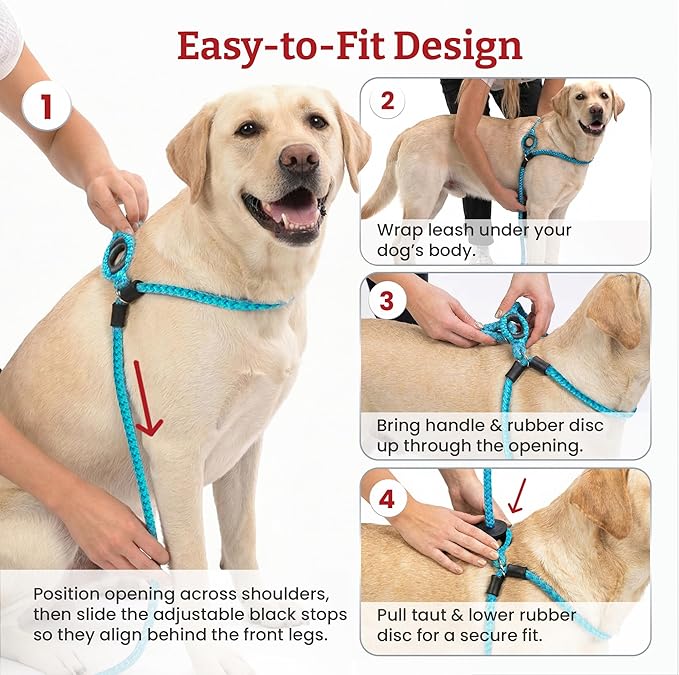 Harness Lead No Pull Dog Harness and Leash Set, Anti Pull Dog Harness for All Breeds and Sizes, One-Piece Cushioned Rope Design Safely Prevents Escaping and Pulling (Small/Medium, Pink)