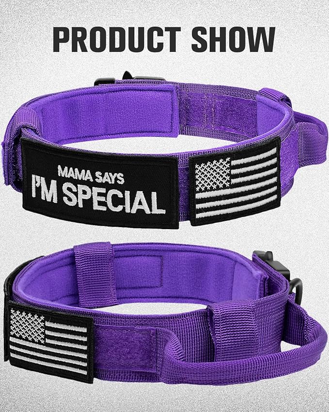 Joytale Tactical Dog Collar with Handle and Metal Buckle, Heavy Duty Padded Military Collar with 2 Patches for Training, Adjustable for Medium Dogs, Purple, M