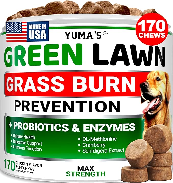 YUMA'S Dog Urine Neutralizer for Lawn - 170 Chews - Advanced Grass Green Savers for Dog Urine - Canine Pee Grass Neutralizer Supplement - Green Lawn Treats with Probiotics and Digestive Enzymes