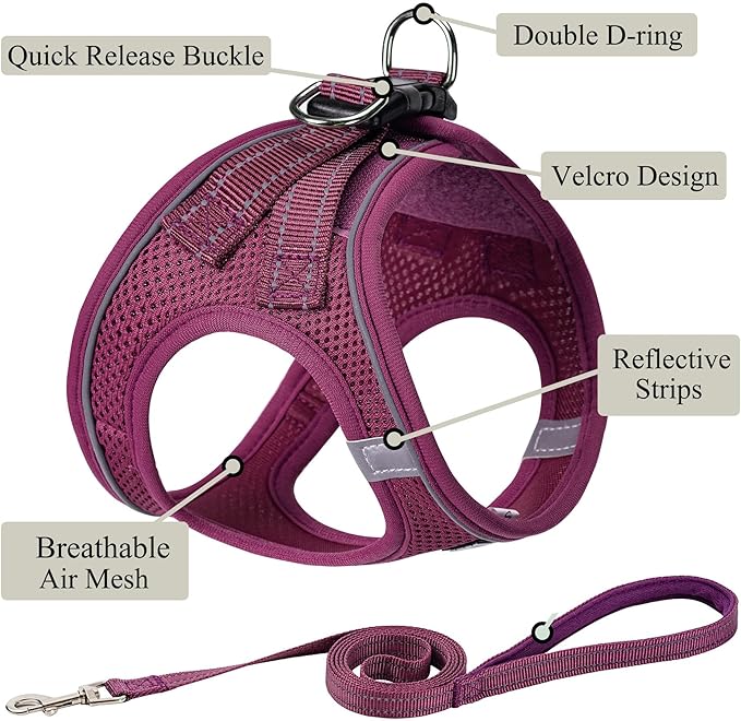 Dog Harness with Leash Set, No Pull Adjustable Reflective Step-in Puppy Pet Vest Harnesses for Small Medium Large Dogs and Cats,Cranberry L