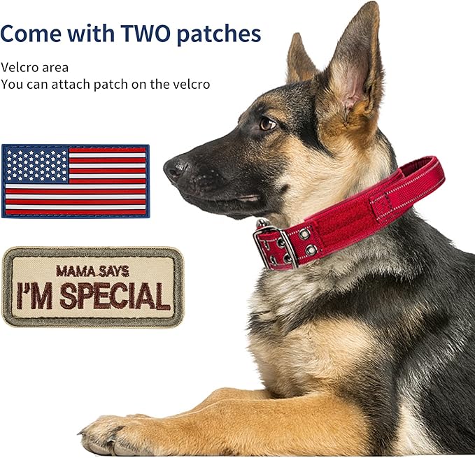 Annchwool Tactical Dog Collar for Medium and Large Dog,Adjustable Military Dog Collar with Soft Padded Handle,Heavy Duty Double Buckle Design(Red,M)